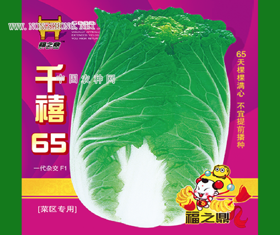 千禧65